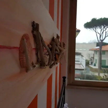 Sole Camaiore